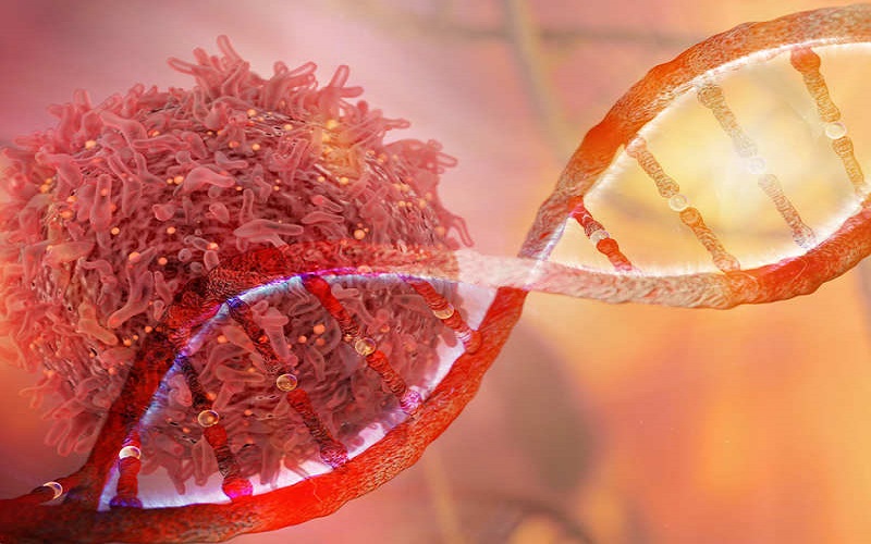Tumor Molecular Analysis